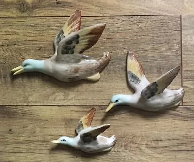 Vintage Flying Duck Wall Plaques • £60