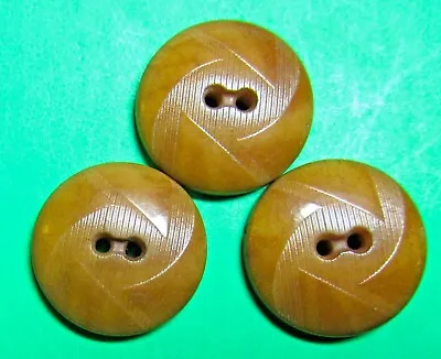 (3) Vintage 1  Textured Decor Brown Vegetable Ivory 2-hole Buttons (j661) • $4