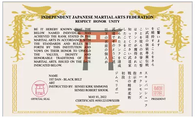 Large Size Martial Art Rank Recognition Certificate - Parchment Style • $18