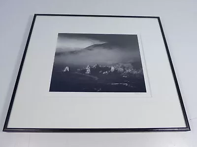 Morley Baer Photograph Signed North Cove Sobranes Point Sur Coast 1965 Framed • $1699.99