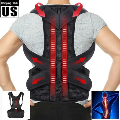 Back Brace For Full Back Pain Relief Sciatica Breathable Lumbar Support Belt • $18.50