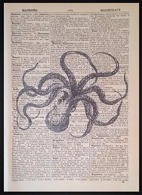 Vintage Octopus Print Picture Dictionary Art Nautical Sea Creature Beach Seaside • £5