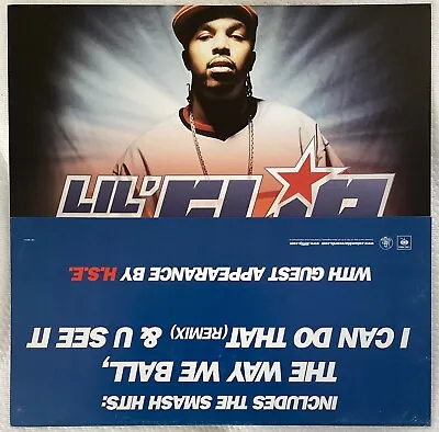 Hip Hop Flats Poster Gangsta Rap Underground 90s 2000s Beanie Sigel Busta Rhymes • $9.99