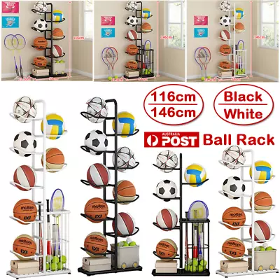 Football Basketball Storage Rack Ball Sport Equipment Organizer Display Stand • $53.19