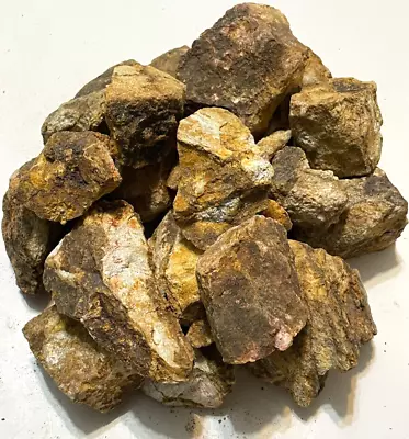 10+ Pounds High Grade CALIFORNIA FINE GOLD ORE Coarse Raw Hard Rock Bulk Panning • $175