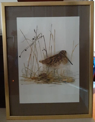 £35 • Buy Danish Artist - Mads Stage Bird Snipe Prints