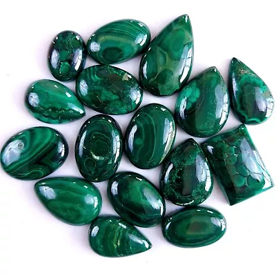 16Pcs 386Cts Malachite Back Unpolished Cabochon Gemstone Lot 20x14 16x10 #9339 • $17.84