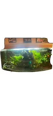 £300 • Buy 4ft Bow Fronted Fish Tank