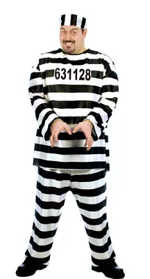 Jailbird Big And Tall Adult Mens Halloween Costume • $16.98