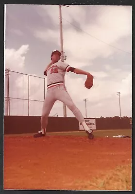 1981 Jim Palmer  ORIOLES  UNSIGNED  3-3/8 X 5  ORIGINAL SNAPSHOT PHOTO #14 • $7.95