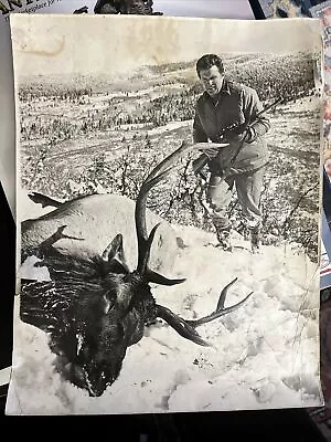 Robert Stack Tv Movie Star Moose Hunter Rifle Autograph 14” X 11” Photo Hunting • $50