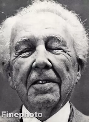 $178.14 • Buy 1949 Frank Lloyd Wright By Richard Avedon Architect Design Vintage Photo Gravure