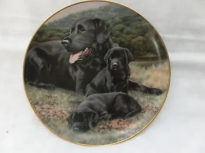 £6 • Buy Fathers Pride And Joy Labradors Nigel Hemming Franklin Mint Limited Edition Vint