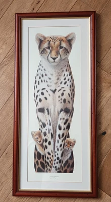 £35 • Buy Large Framed Warwick Higgs Cheetahs Print - Peek A Boo