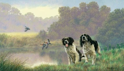£39 • Buy Nigel Hemming WATER SPORTS Springer Spaniels, Art Canine Ltd Edition  #1