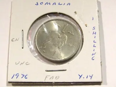 Somalia 1976 1 Shilin F.A.O. Unc Coin Lamb • $5.99