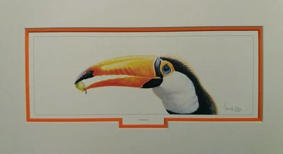 £19.95 • Buy Thanks By Warwick Higgs Toucan Mounted