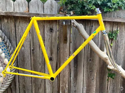 54cm Olmo - Vintage Steel Frame-Set Refinished + Extras • $995