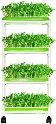 4 Layers Sprout Trays With Extra Strength Plastic Shelf Soil-Free Healthy Wheatg • $38.99