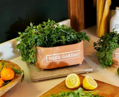 £9.99 • Buy Sass & Belle HERB GARDEN TERRACOTTA TROUGH PLANTER Perfect For Windowsill 