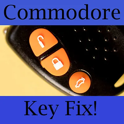 $3.60 • Buy Holden Commodore Key Buttons VS VT VX VY VZ Orange Set