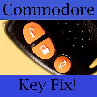 Holden Commodore Key Buttons VS VT VX VY VZ Orange Set • $3.80