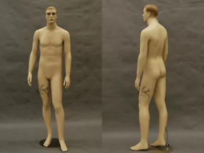 Realistic Male Mannequin Shorter Than Average #MD-7001F2 • $279