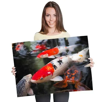 A1 - Koi Carp Pond Fish Japanese Poster 60X90cm180gsm Print #21765 • £10.99