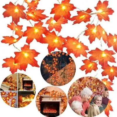 Fall Maple Leaves Pumpkin LED Fairy String Light Leaf Lamp Garland Party Xmas • £4.25