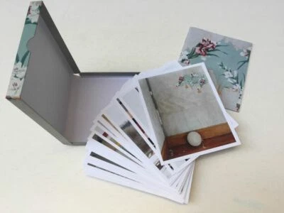 $30.22 • Buy ALEC SOTH_Gathered Leaves_Postcard Box_Photography_1st Edition_A.Schuman_K.Bush