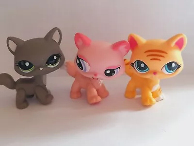 Littlest Pet Shop Cat Maine Coon Figure Bundle #1313 #1059 #1572 • £25.99