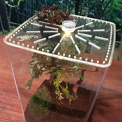 Acrylic Reptile Terrarium Gecko Lizard Spider Vivarium Pet Cage Tank House Cage • $31.36