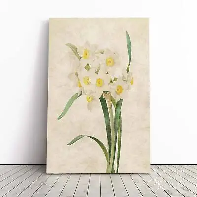 £22.95 • Buy White Daffodils Flowers Pierre-Joseph Redoute Canvas Wall Art Print Picture