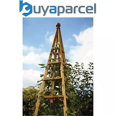 Smart Garden Tan Wooden Woodland Obelisk 1.5m Plant Support Pine • £34.24