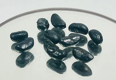 10 Seed Grain Kod Phee Black LEKLAI Super Powerful Magic Stone AMULET In Bottle • $44.90