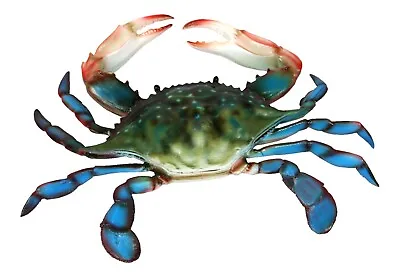 Coastal Maryland 10 Inch Blue Crab Beach Bath Hall Or Nursery Wall • £13.48