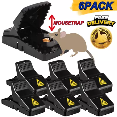 6 Pcs Mouse Traps Rat Mice Killer Snap Snares Power Rodent Heavy Duty Pest Trap • $8.89