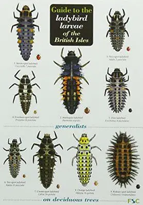 Guide To The Ladybird Larvae Of The British Isles (Chart) By Poland Remy Comon • £6.55