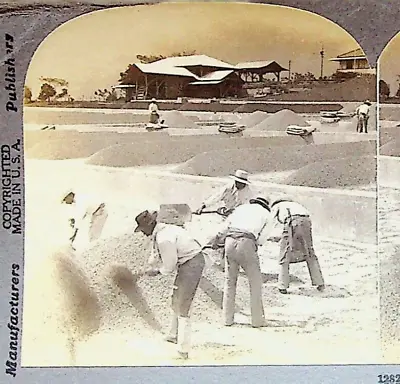 Men Workers Drying Coffee Costa Rica  Photograph Keystone Stereoview Card • $11.96