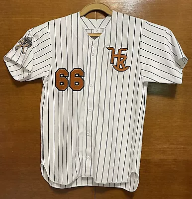 Champro Pinstripe Softball Jersey Men's L Button Front Embroidered Stitched #66 • $23.79