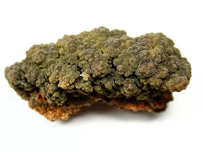 Minerals : Brown Botryoidal Masses Of Tiny Mottramite Xtls Ojuela Mine Mexico • $2.25