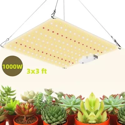 1000W LED Grow Light For Indoor Plants Full Spectrum 3x3ft Grow Lights Veg Bloom • $27.69