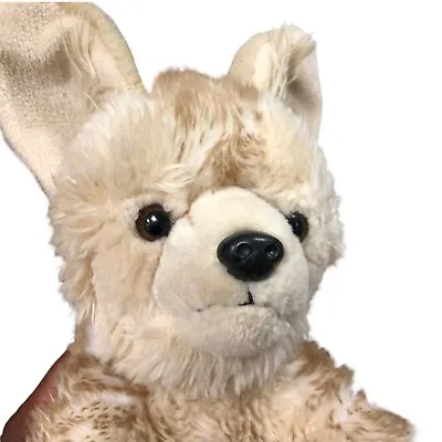 £29 • Buy Build A Bear Workshop Fennec Fox  12  Soft Plush Toy Rare Global Shipping