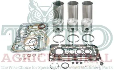 David Brown 780 880 885 Engine Overhaul Kit • £255.99