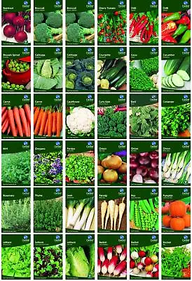 £0.99 • Buy Garden Treasures Fresh Herbs Vegetable Fruit Seeds Grow Your Own Indoor Outdoor