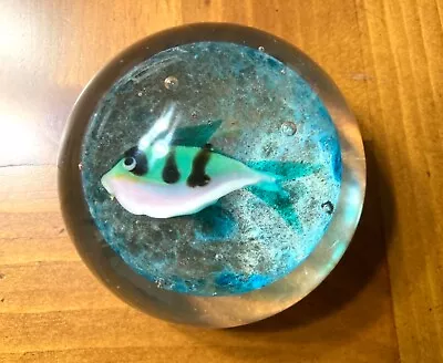 VTG OGGETTI Italy Murano Glass Aquarium Pink/Turquoise Fish Paperweight W/Label • $49.99