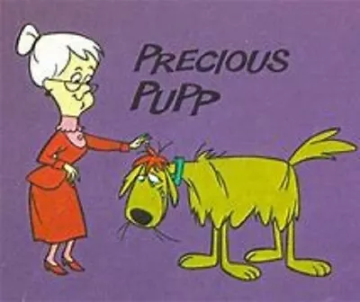 Precious Pupp - Hanna Barbera  - Complete Series - 26 Episodes - 2 Discs RARE • $33