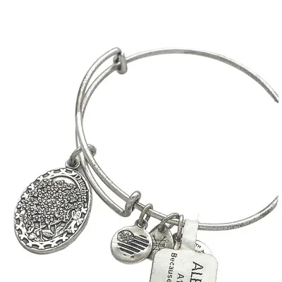 $36.78 • Buy Alex And Ani Bangle Bracelet Rafaelian Silver Daughter Charm With Tag  Stackable