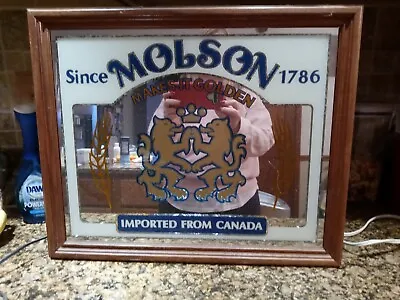 Molson Golden Light Up Beer Sign • $30