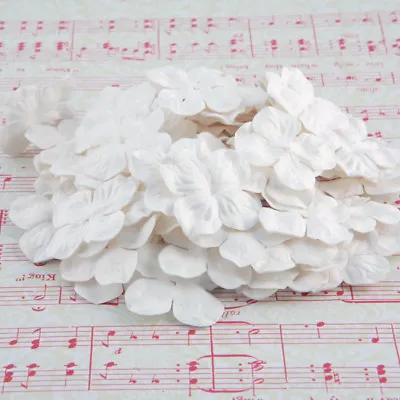 White Mulberry Paper Blooms Card Making Craft Embellishment Flowers Pbw013 • £2.69